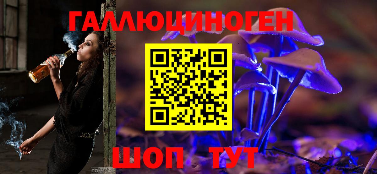 Псилоцибиновые грибы Magic Shrooms  Вход с VPN  Кстово 